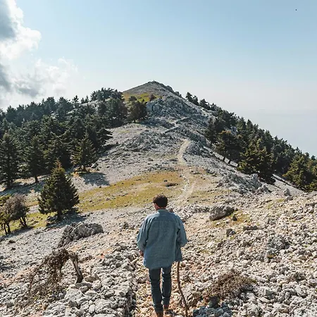 Anemos & Aparthotel 3*