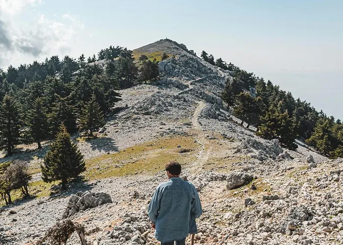 Anemos & Apartmanhotel 3*